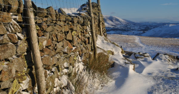 Snow covered drystone wall overlooking Blencathra